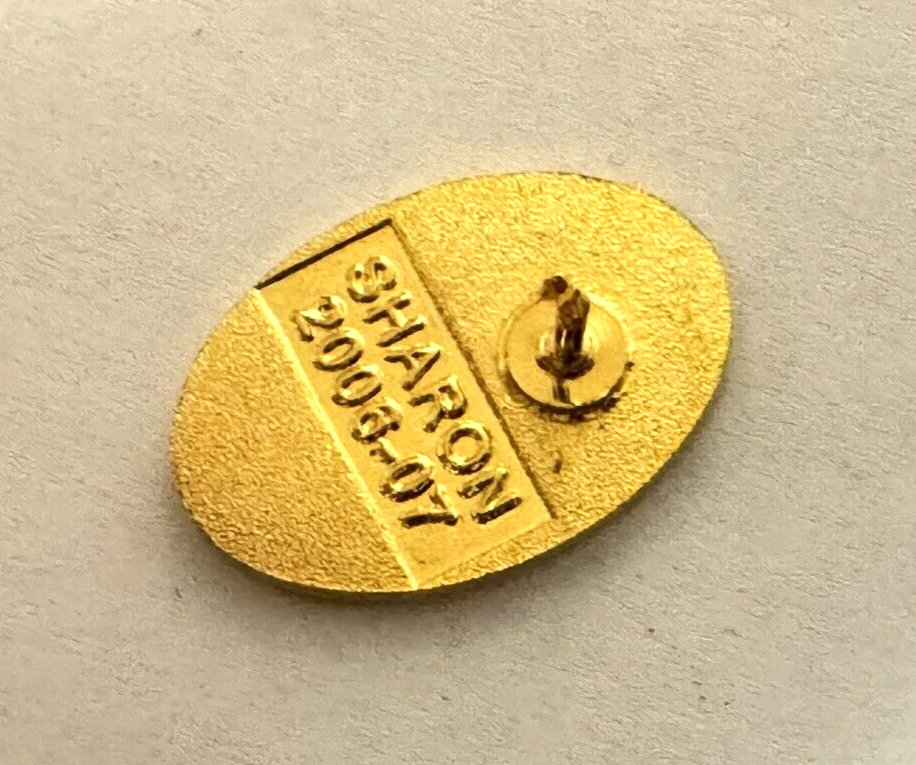 Vintage Gold Tone Purple Flower Oval Lapel Pin Marked Sharon 200607 eBay