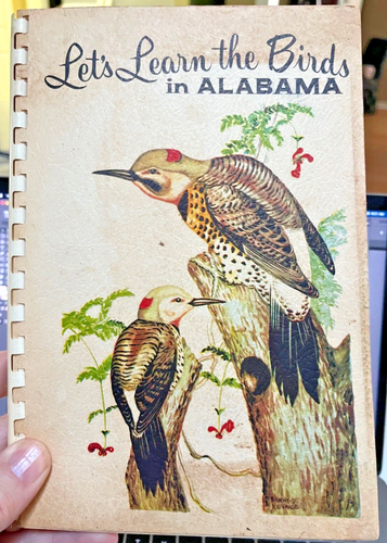 VINTAGE - ALABAMA BIRDS: Let's Learn The Birds In Alabama, Dean, Audubon Flicker - Imagen 1 de 7