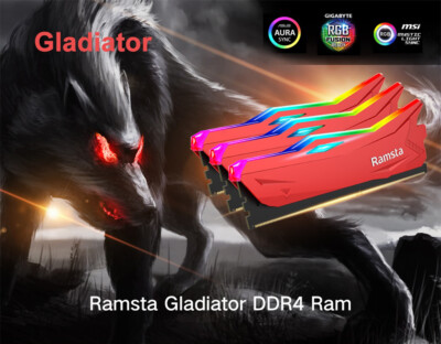 8GB RAM DDR4 RGB Ramsta Arbeitsspeicher mit Hitzeschutz dt. Händler Blitzversand