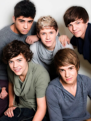 ONE DIRECTION / 2014 + 2016 / Hamburg / 4x Auswahl