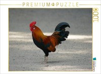 Calvendo Puzzle Colorful Rooster | 1000 Pieces, Finished Size 25.2 × 18.9 In (64