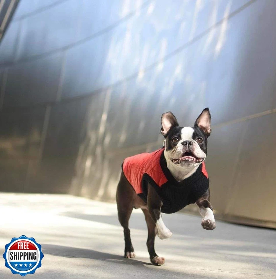 Gooby Fashion Vest Dog Jacket - Violet, Medium - Warm Zip Up Bomber Vest with - Image 2 of 4