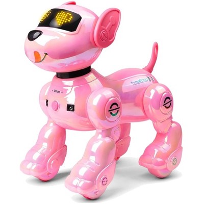 Ferngesteuerte Roboter Hund Kinder mit 2 Batterien,Programmierbarer Roboterhu...