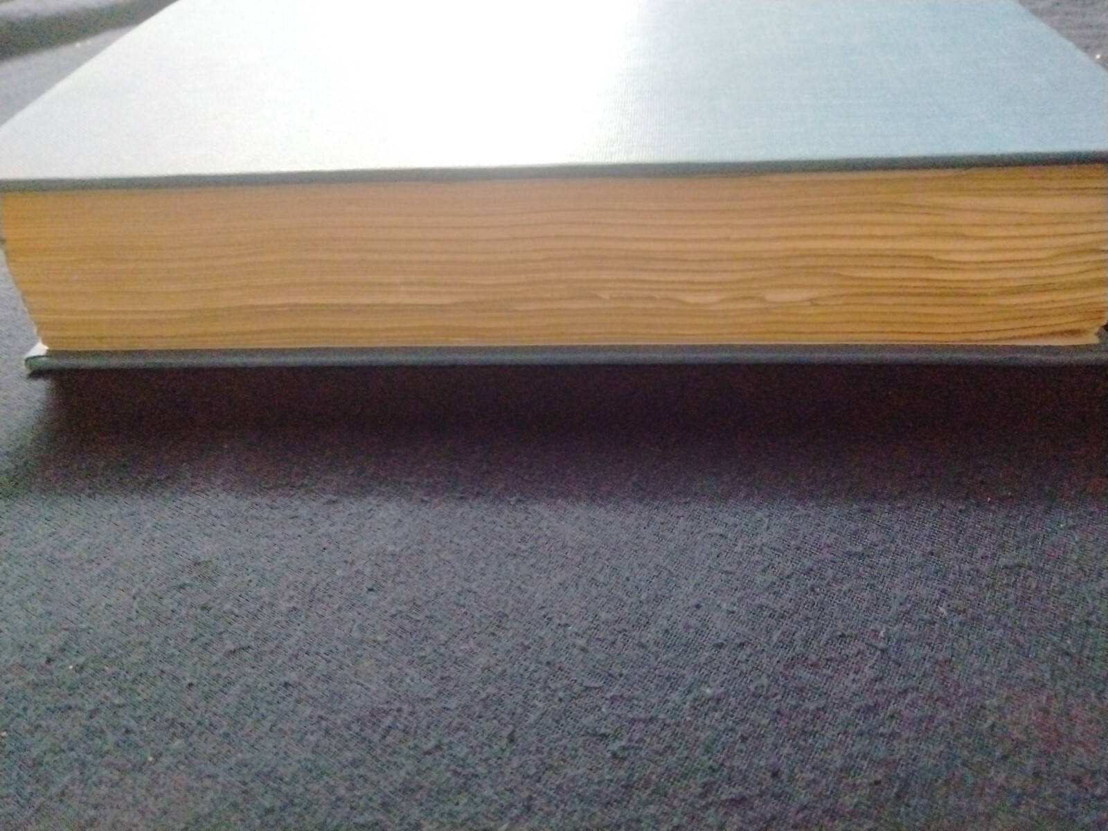 Bild 11 von 12