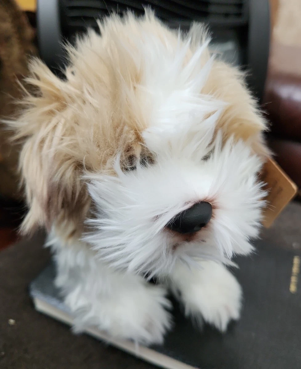 Maltipoo best sale stuffed animal