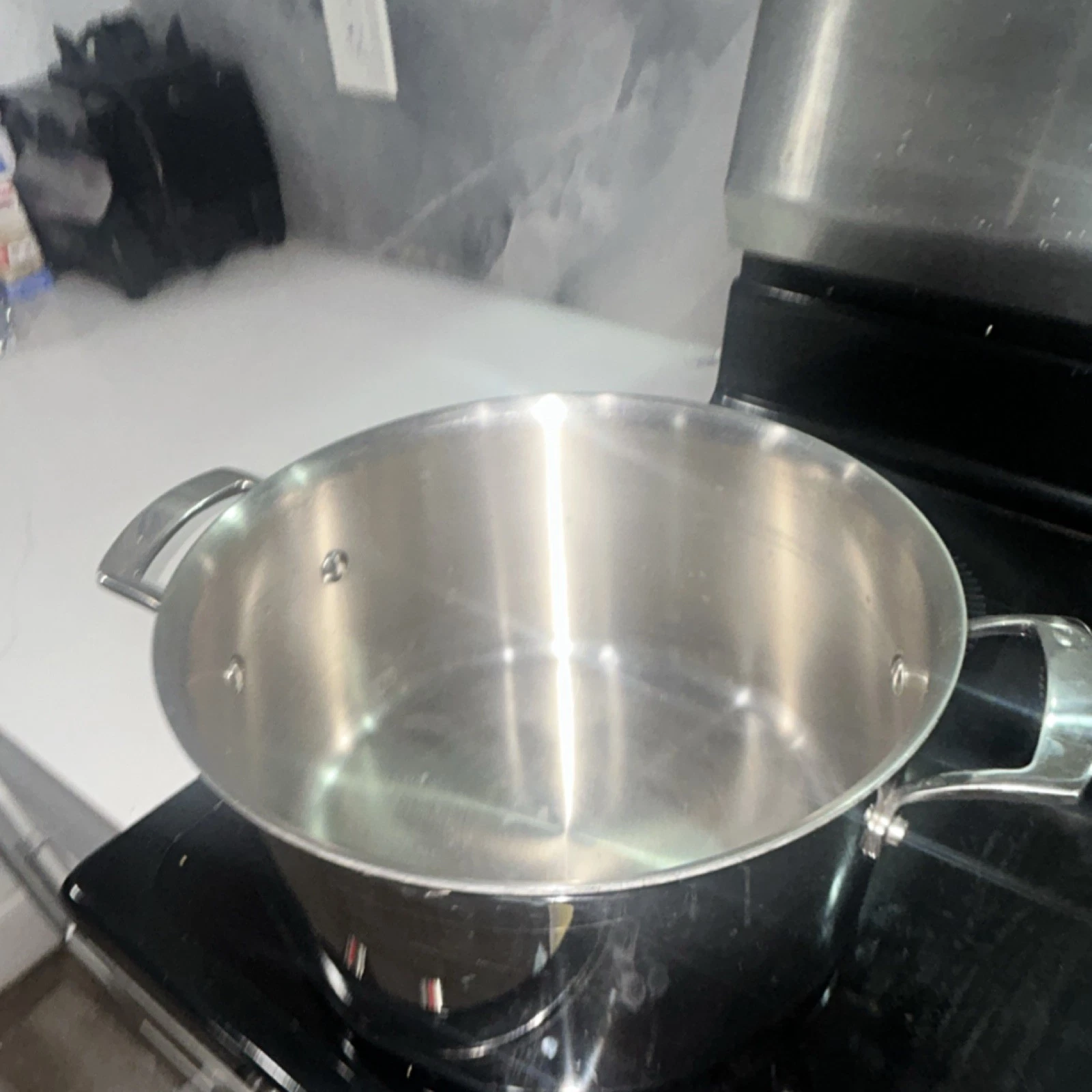 Kirkland Signature 7.5 Qt Stainless Steel Stockpot Double Handle 997640