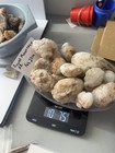  10Lb Lot Chalcedony Quarts Crystal Agate Geodes RoundMountain Arizona Unopened  — photo 4