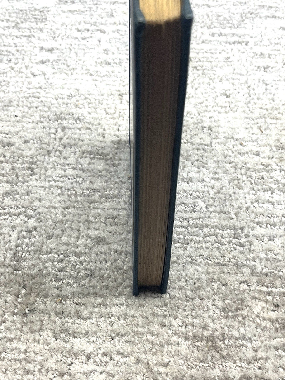 Picture 6 of 14