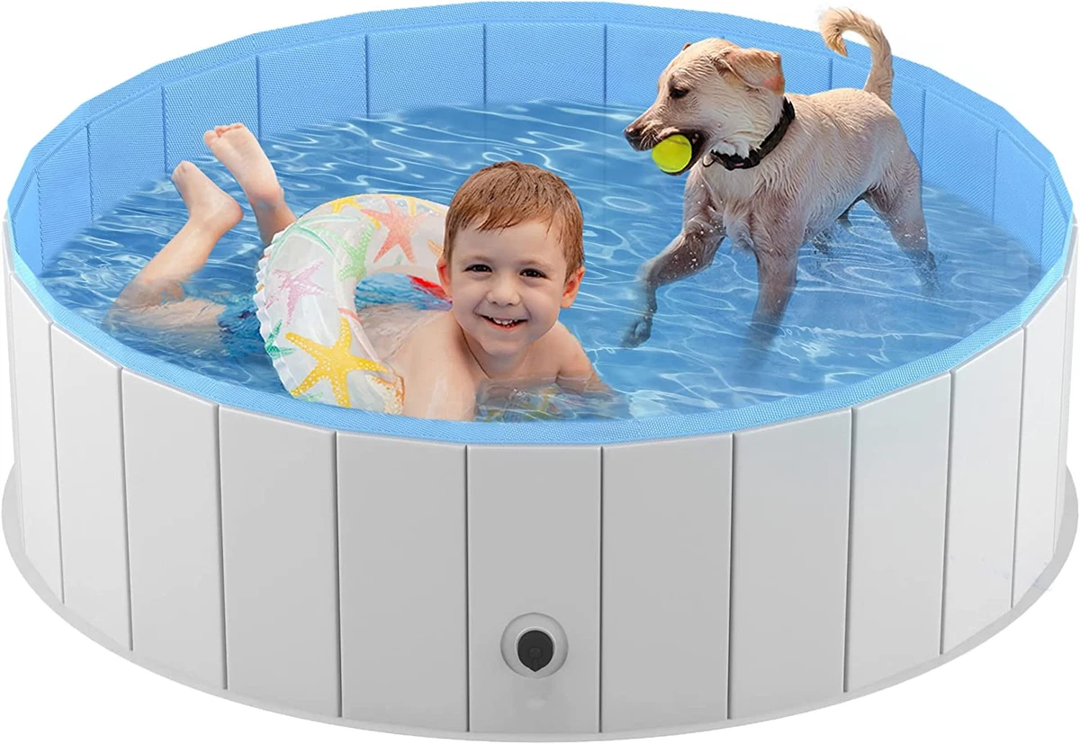 Ebay dog best sale pool