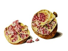 Pomegranate W. Hekking Fruit Tile Mural Kitchen Wall Backsplash Marble Ceramic