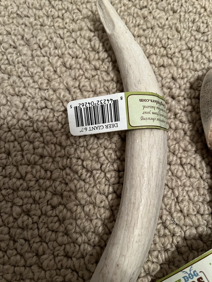 Prairie Dog Pet Products Elk Antler Treat, 6-7inch Deer Giant Bundle of 4, XL - Image 2 of 4