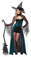 Sexy Enchantress Witch Wizard of Oz Wicked Adult Costume