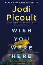 Wish You Were Here: A Novel - Hardcover By Picoult, Jodi - GOOD