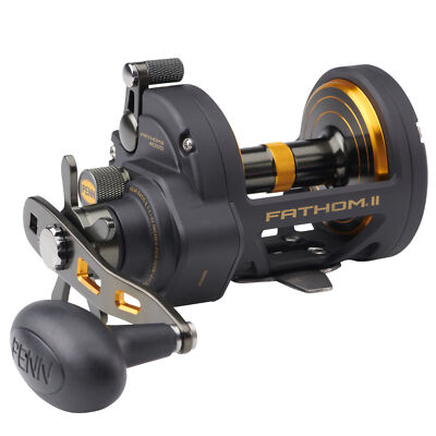 Penn Fathom II Star Drag Reel 40 - Multirolle für Dorsch & Heilbutt, Angelrolle