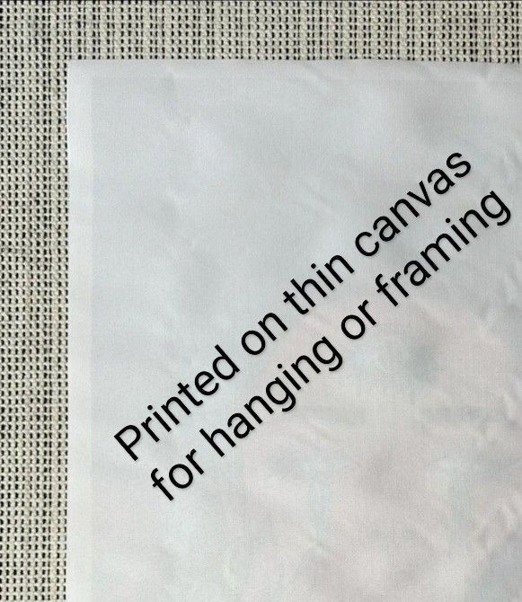Foto 2 di 3