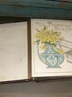 Vintage Old Velvet “Our Friends” Photo Album Scrapbook Victorian with Photos — photo 4