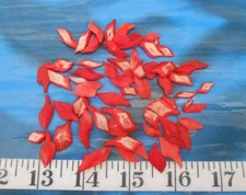 ~ Gar Scales ~ Bright-Red Mix ~ 50+ ~ Medium ~ Shellcraft ~ Sailors Valentines ~
