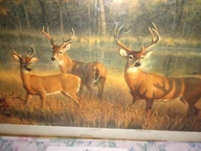 Shadow time deer print,1st edition,L/E, By Nancy Glazier