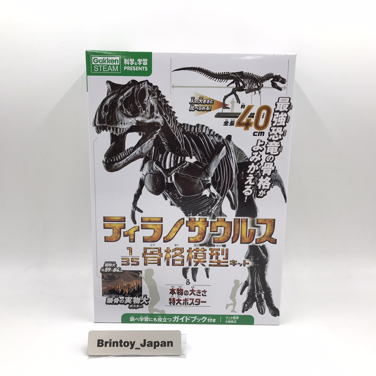 Gakken T-Rex Tyrannosaurus 1/35 Skeleton Model Kit & Real
