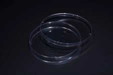 CELLTREAT 150mm x 20mm TCT Dish 100/Case, Sterile, #229651