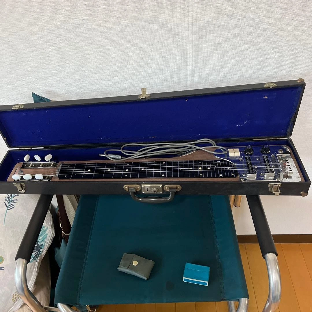 Lap & Pedal Steel Guitars for sale | eBay