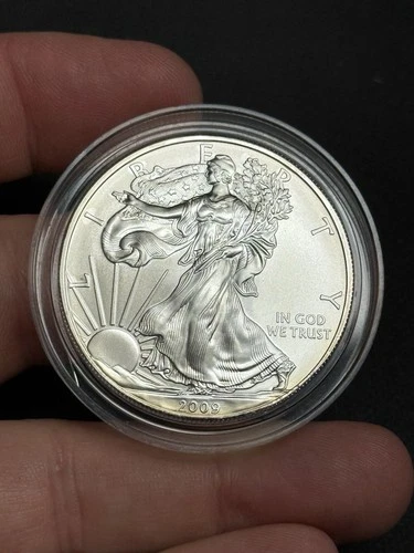 BU 2009 American Silver Eagle Dollar in Capsule, $1 U.S. .999 Coin ASE