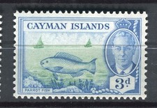CAYMAN ISLANDS; 1950 early GVI Pictorial issue fine MINT MNH Unmounted 3d. 