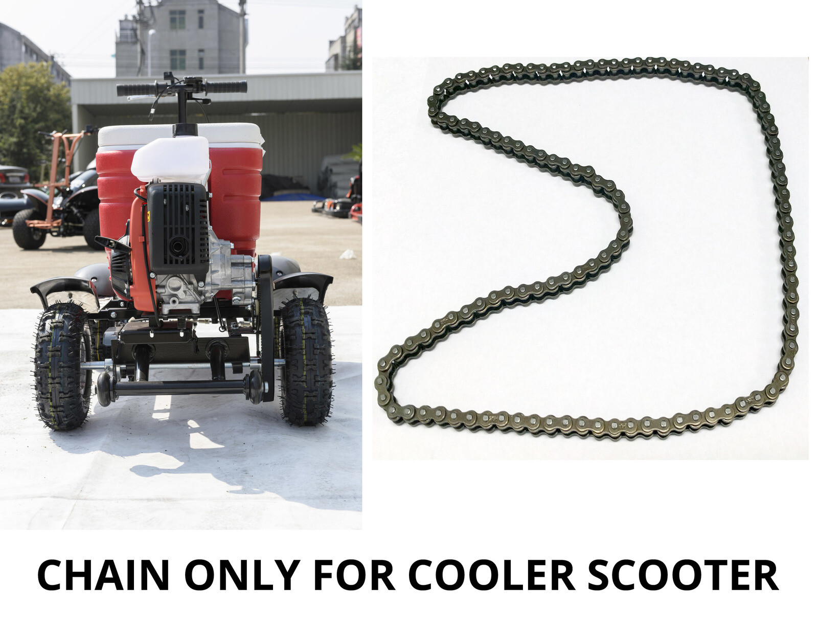Chain To Suit 4 Stroke Cooler Scooter eBay