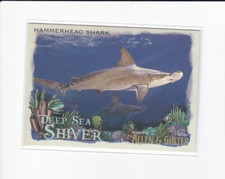 HAMMERHEAD SHARK 2021 ALLEN & GINTER DEEP SEA SHIVER INSERT CARD-SHIPS FREE