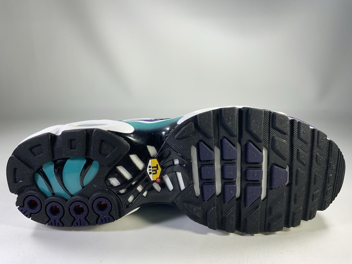 Nike Air Max Plus White Grape Ice Black New Emerald Mens