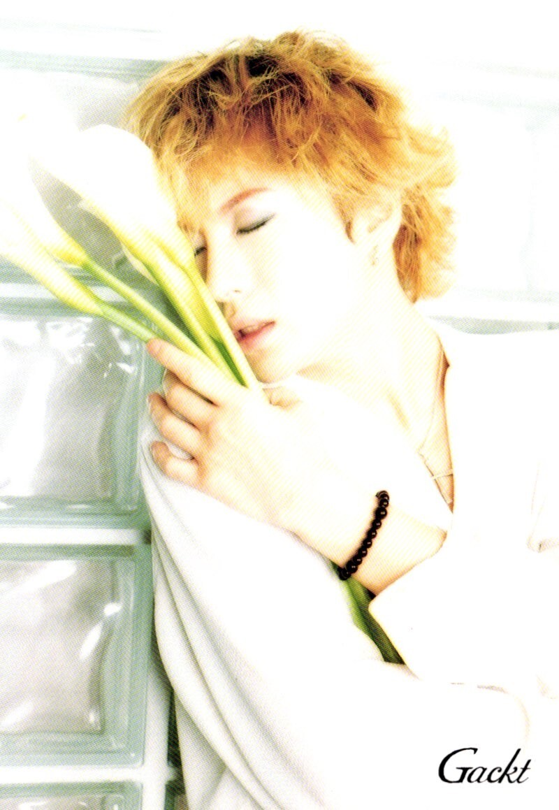 Gakuto Oshiro Gackt Postcard | eBay