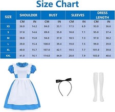 Women Alice Costume Blue Dress Puff Sleeve Maid Costume Fancy Dress XL