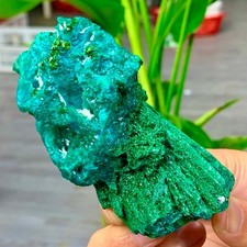 319G Natural green dioptase emerandine gemstone cluster mineral specimen