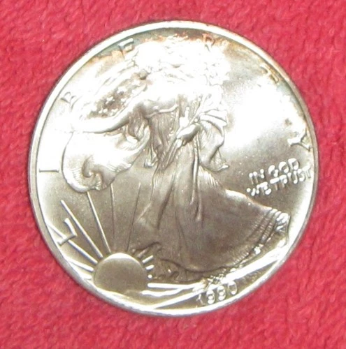 1990 Walking Liberty 1 oz Silver Dollar Coin, vg. ungraded.