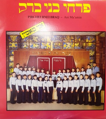 PIRCHEI BNEI BRAQ CHASSIDIC JEWISH SONGS LP VINYL RECORD תקליט פרחי בני ברק  