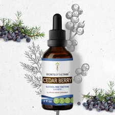 Secrets Of The Tribe Cedar Berry Tincture Alcohol-FREE