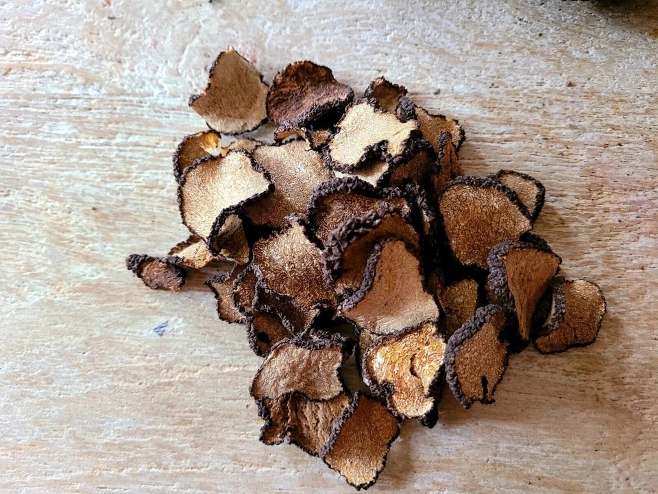 Trufa negra Umbría orgánica seca en rodajas verano trufa negra/tartufo/trufa Foto 4 de 4