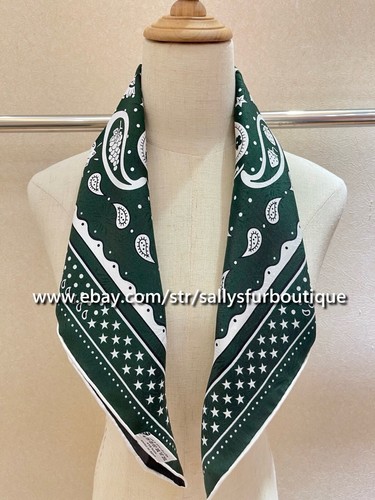 Sallys 16 Momme Jacquard Sarga Seda Estampado Paisley Doble Cara Cuello Bufanda 65 cm - Imagen 9 de 37