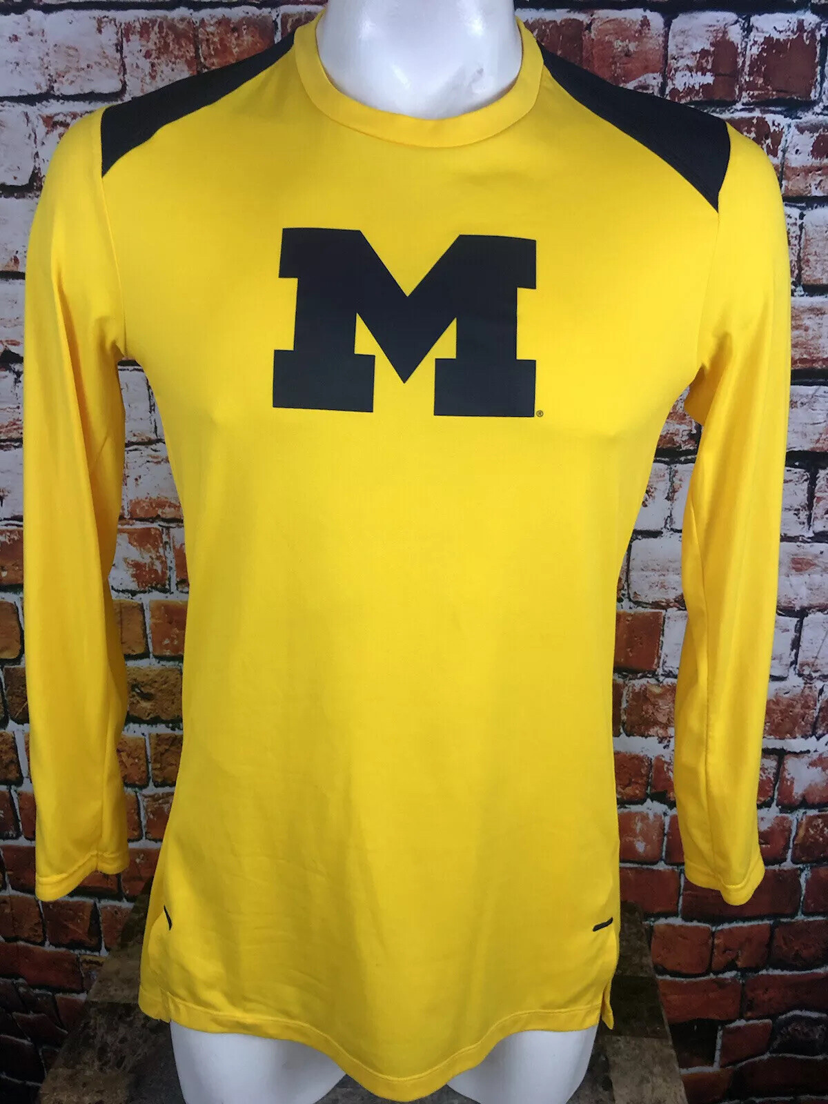 Nike Dri Fit Jordan Michigan Wolverines 