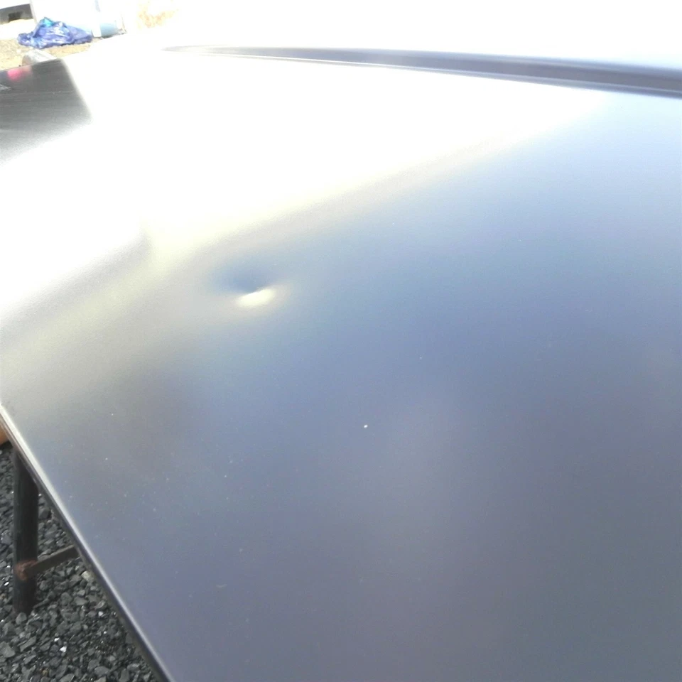 Pontiac 6000 1987-1991 capó fabricante original pieza nueva 10070690 vintage Foto 3 de 4