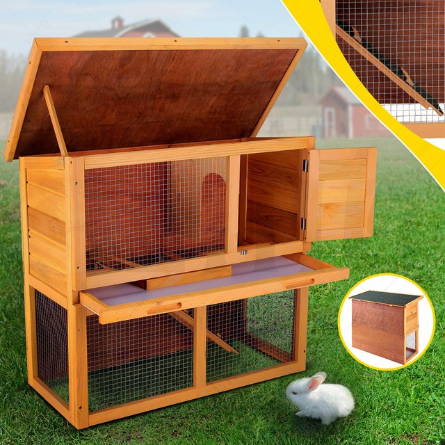 red petite goldendoodle