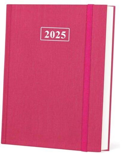 Planner 2025-8.5'' × 11'' Weekly & Monthly Planner 2025 from 8.5''x11'' Pink-image