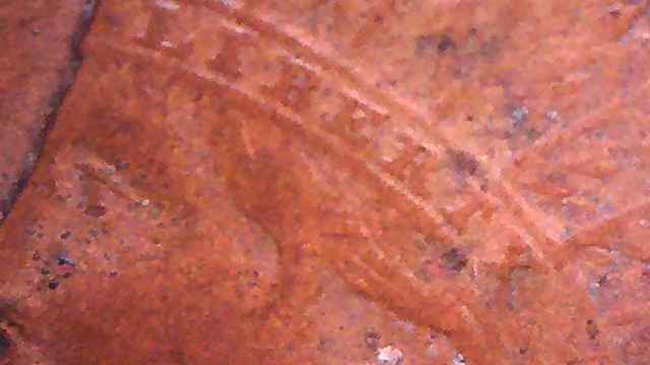 1896 Philadelphia Mint Indian Head Cent eBay