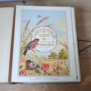 Flower & Feather Photo Album Marcus Ward & Co Victorian leather Antique