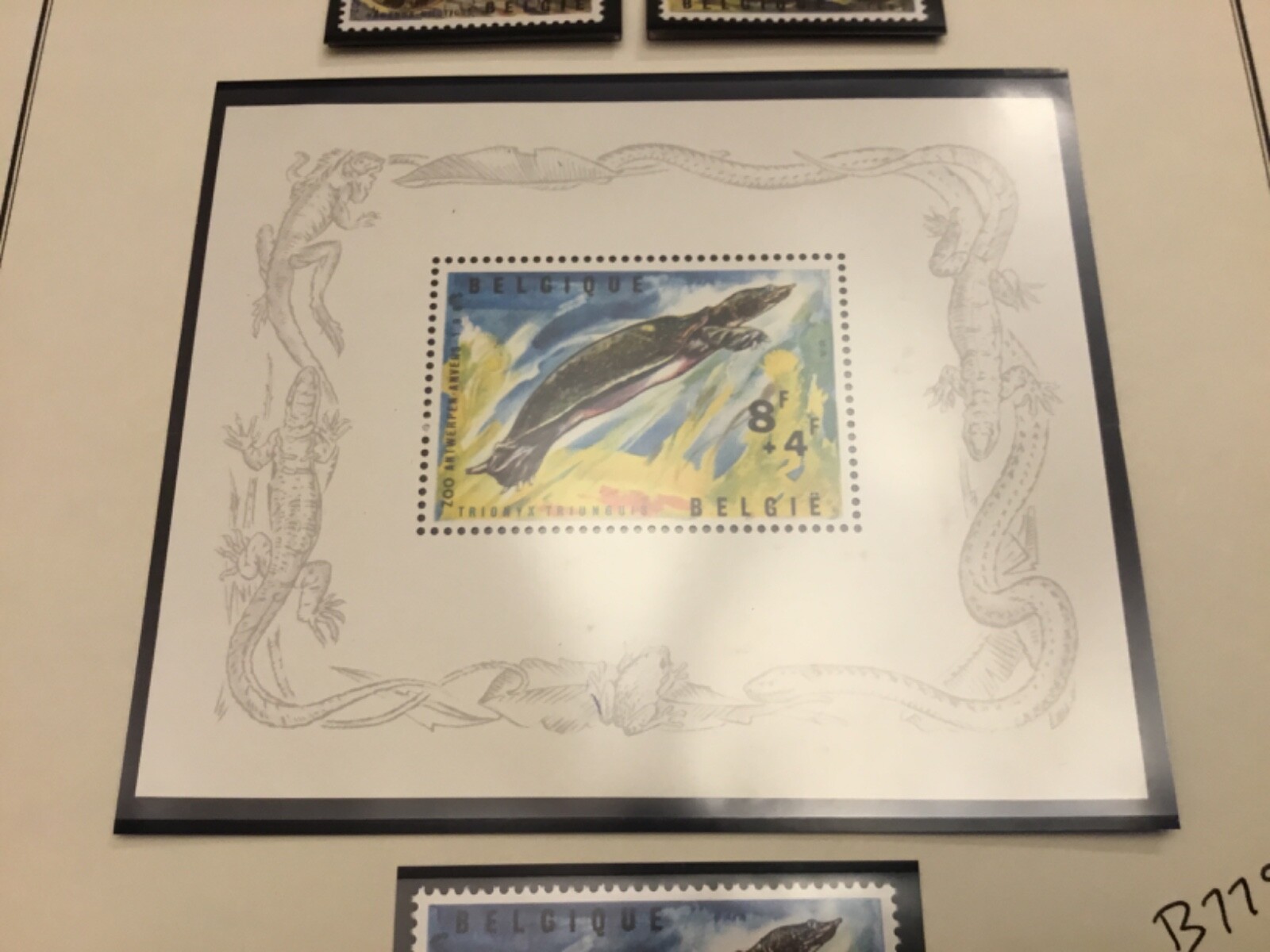 Picture 4