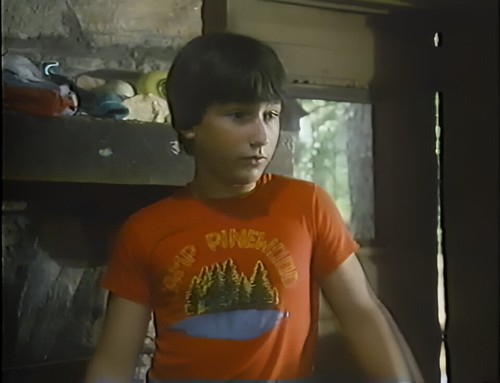 Camp Pinewood T-Shirt (Poison Ivy) Michael J. Fox 80s TV Movie - Picture 2 of 9