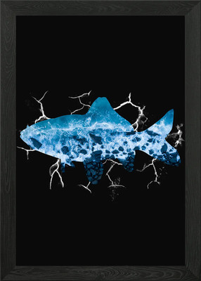 Gemeiner Fisch gerahmtes Wandbild Poster Leinwanddruck Bild