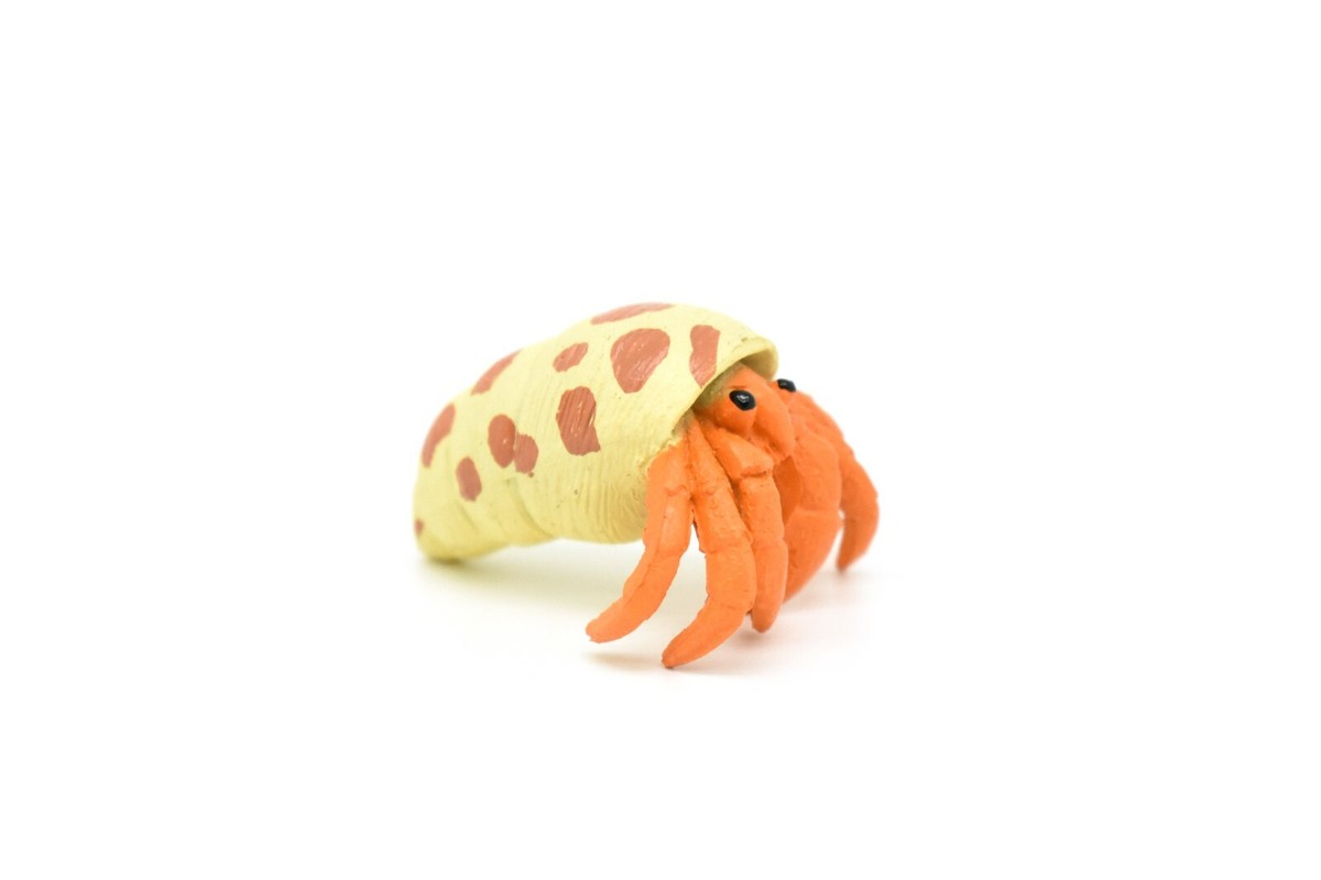 Hermit Crab Toy Animal, Realistic Plastic Replica Model, 2