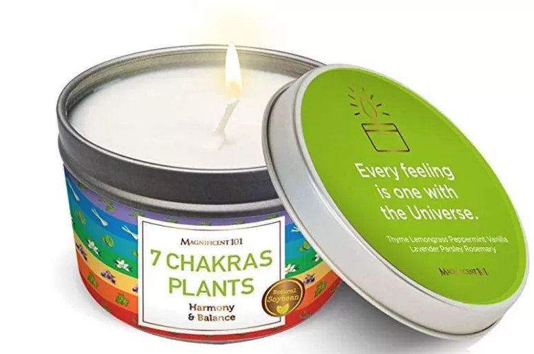 Великолепная свеча-мазок 101 Растение из 7 чакр Гармония и баланс 6 унций 2690₽