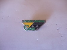 PINS BRÜCKE AVIGNON GENERALRAT GARD